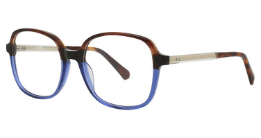 The Neighbors The Coopers Brown/Blue/3