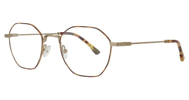 UNCOMMON Eyeglasses Sawyer GOLD/TORTOISE