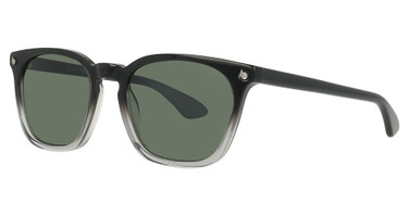 AO Eyewear Eyeglasses Alden Black Smoke/2