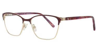 AV Studio Eyeglasses 408 Purple/Gold