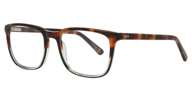 Alexander Julian Eyeglasses Regan Tortoise