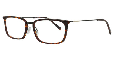 Gridiron COAST TORT/GOLD/C2