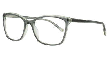 Cinzia Eyeglasses CIN-5177 Shadow / Seafoam/3