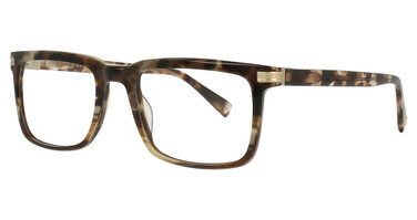 Seraphin BIG NOTTINGHAM TORTOISE/TORT