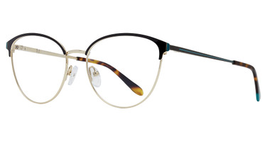 Eye Q Eyewear Eyeglasses MP117 BLACK/GOLD/BLK