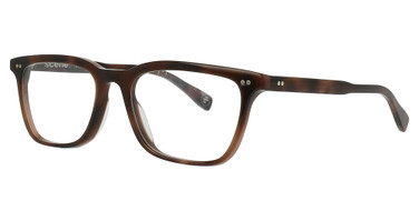 Scene Eyewear Eyeglasses Harrison Brown Tortoise