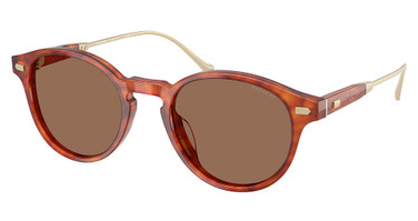 COACH Eyeglasses HC8428U CAD83 CARAMEL TORTOISE/577473
