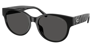 COACH Eyeglasses HC8430D CAE87 BLACK/500287