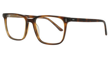 Charles Stone Eyeglasses CSNY30182 HAVANA (BROWN) DARK SHINY/5532