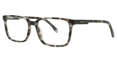 Esquire Eyeglasses 1639 Grey Demi