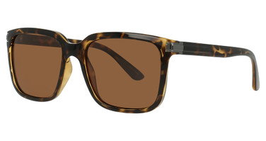 Suntrends Eyeglasses ST248 Tortoise/40