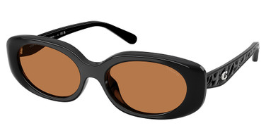 COACH Eyeglasses HC8443D CBY84 BLACK/500273