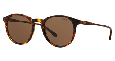 Polo Eyeglasses PH4110 SHINY ANTIQUE HAVANA/513473