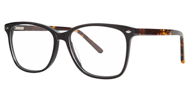 GB+ Eyeglasses Flawless black/tortoise