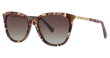 Divaldi Eyeglasses DV0081 Brown/10