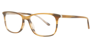 Esquire Eyeglasses 1588 MATT BROWN AMBER