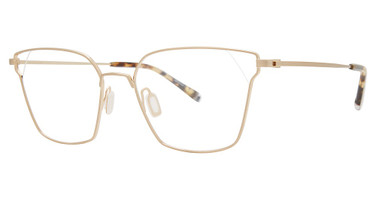 Paradigm Eyeglasses 20-02 Gold/YG