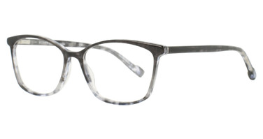 Scott Harris Eyeglasses Scott Harris 710 Charcoal/3