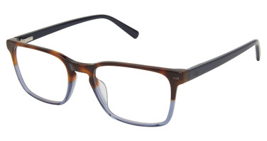 Ted Baker Eyeglasses TM008 tortoise/TOR