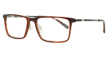 Easyclip Eyeglasses EC590 Brown Striped/10