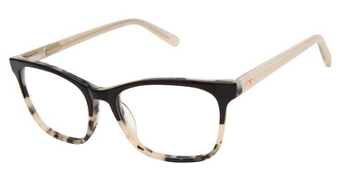 Ted Baker Eyeglasses TWBIO003 black/BLK