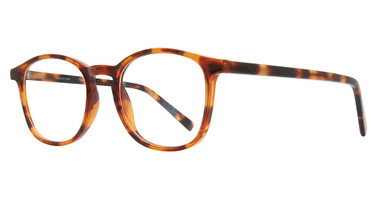 Eye Q Eyewear Eyeglasses TOTTENHAM Tortoise