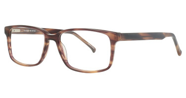Encore Vision Eyeglasses FN802 Tortoise