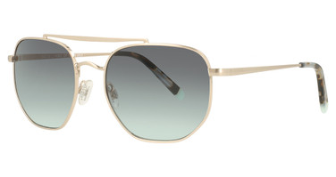 Steve Madden Eyeglasses Cutler GOLD