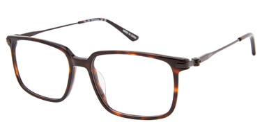 TLG Eyeglasses NU080 TORTOISE/C01