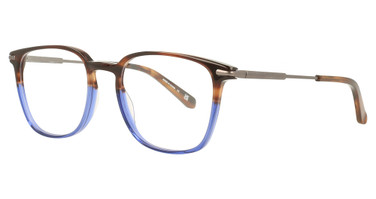 Alexander Julian Eyeglasses Chilcott Brown/Blue