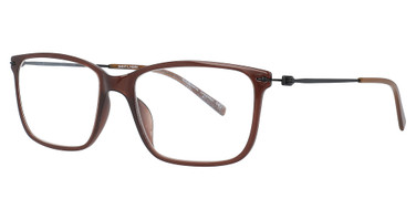 Aspire Successful CHESTNUT