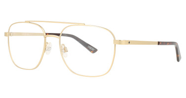 SPY Eyeglasses TAMLAND MATTE GOLD / DRK TORT