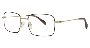 SCOJO New York 50TH STREET GOLD/GOLD