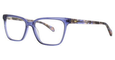SCOJO New York 14TH STREET IRIS TORTOISE/IRIS