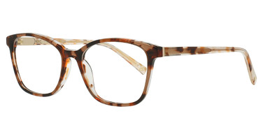 Erkers 1879 Eyeglasses Melvon Brown/BR