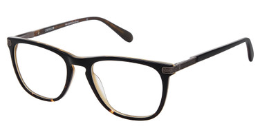 Cremieux Eyeglasses Safari Black Tort/BLACK TORT