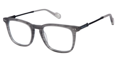 True Religion Eyeglasses T4031 Grey/GRY