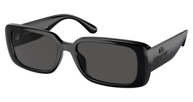 COACH Eyeglasses HC8402U CR645 BLACK/500287