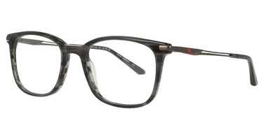Rip Curl Eyeglasses RC2114 Grey Horn/C-2