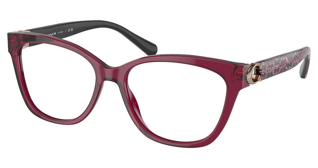 COACH Eyeglasses HC6120 TRANSPARENT RUBY/5604