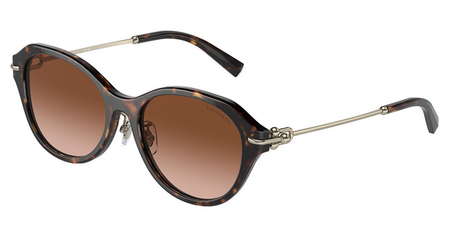 Tiffany TF4210D HAVANA/80153B