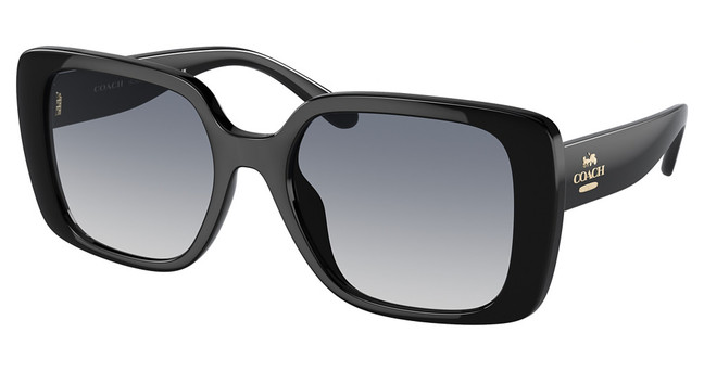 COACH Eyeglasses HC8386U CL907 BLACK/500235