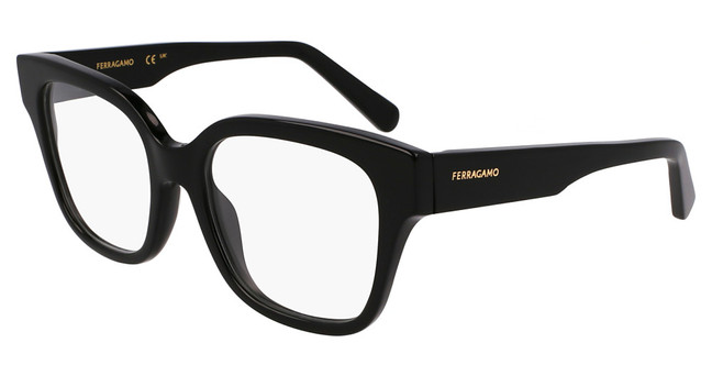 Ferragamo SF2952N BLACK/001