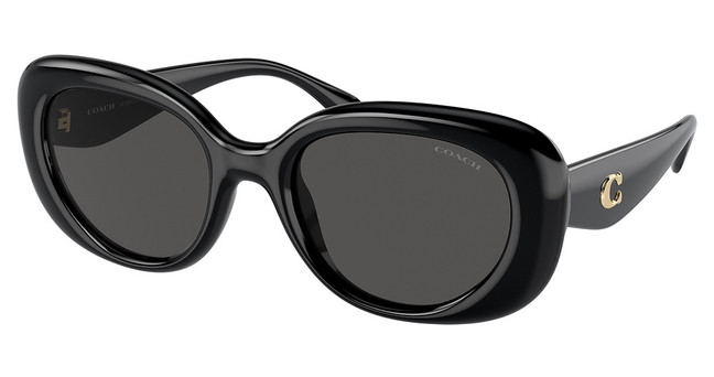 COACH Eyeglasses HC8391U CR609 BLACK/500287