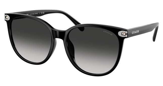 COACH Eyeglasses HC8414BD CW428 BLACK/50023C