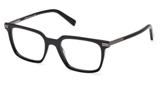 Ermenegildo Zegna EZ5309 shiny black/001