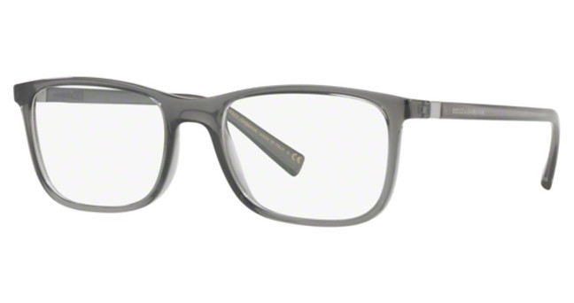 DOLCE & GABBANA Eyeglasses DG5027 TRANSPARENT GREY/3160