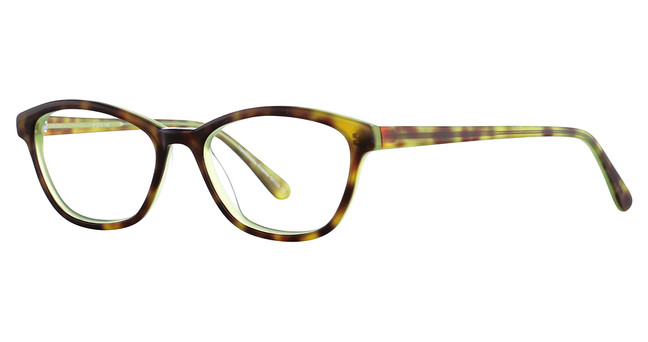 Elan Collection Eyeglasses 3013 Apple Tortoise