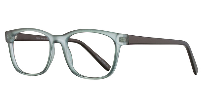 Focus Eyewear Eyeglasses Focus 245 Olive/19