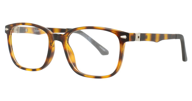 Enhance Eyeglasses 4118 TORTOISE